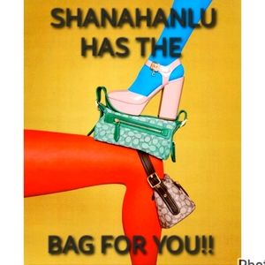 The Bag of Your Dreams